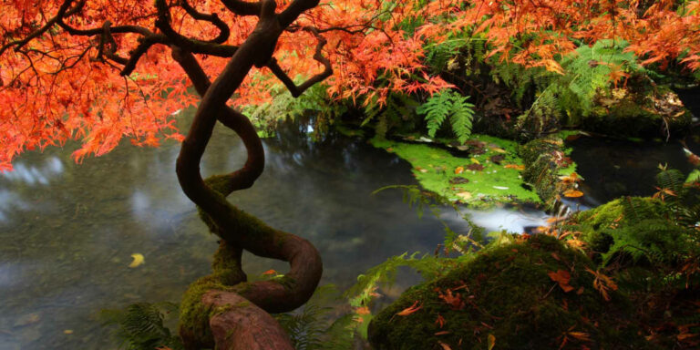 TA brand photo 3000x 768x384